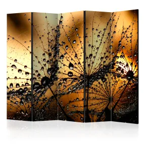 Paravento Dandelions in the Rain II [Room Dividers]