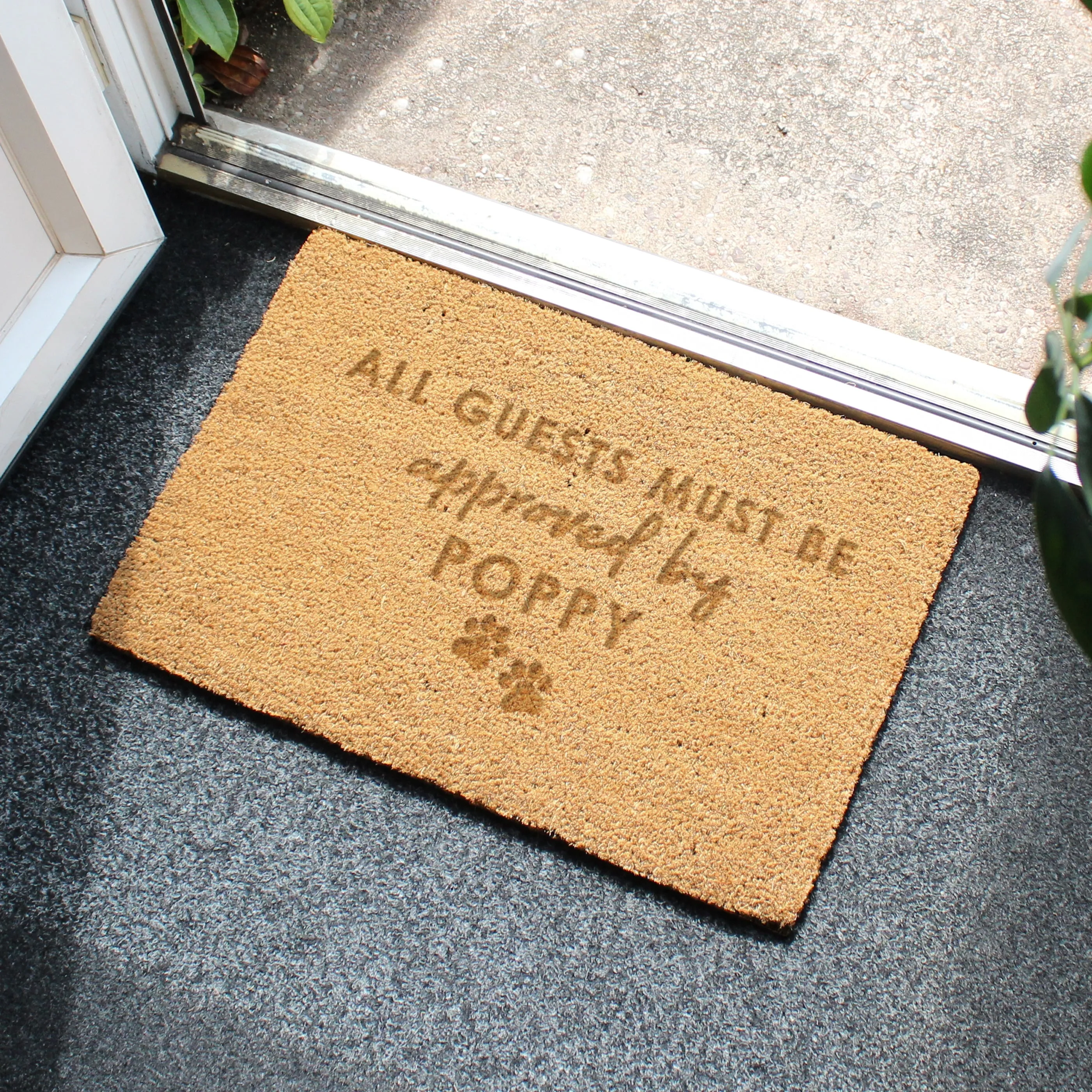 Personalised Approved By The Pet Rectangle Indoor Doormat