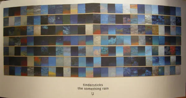 Tindersticks ~ The Something Rain